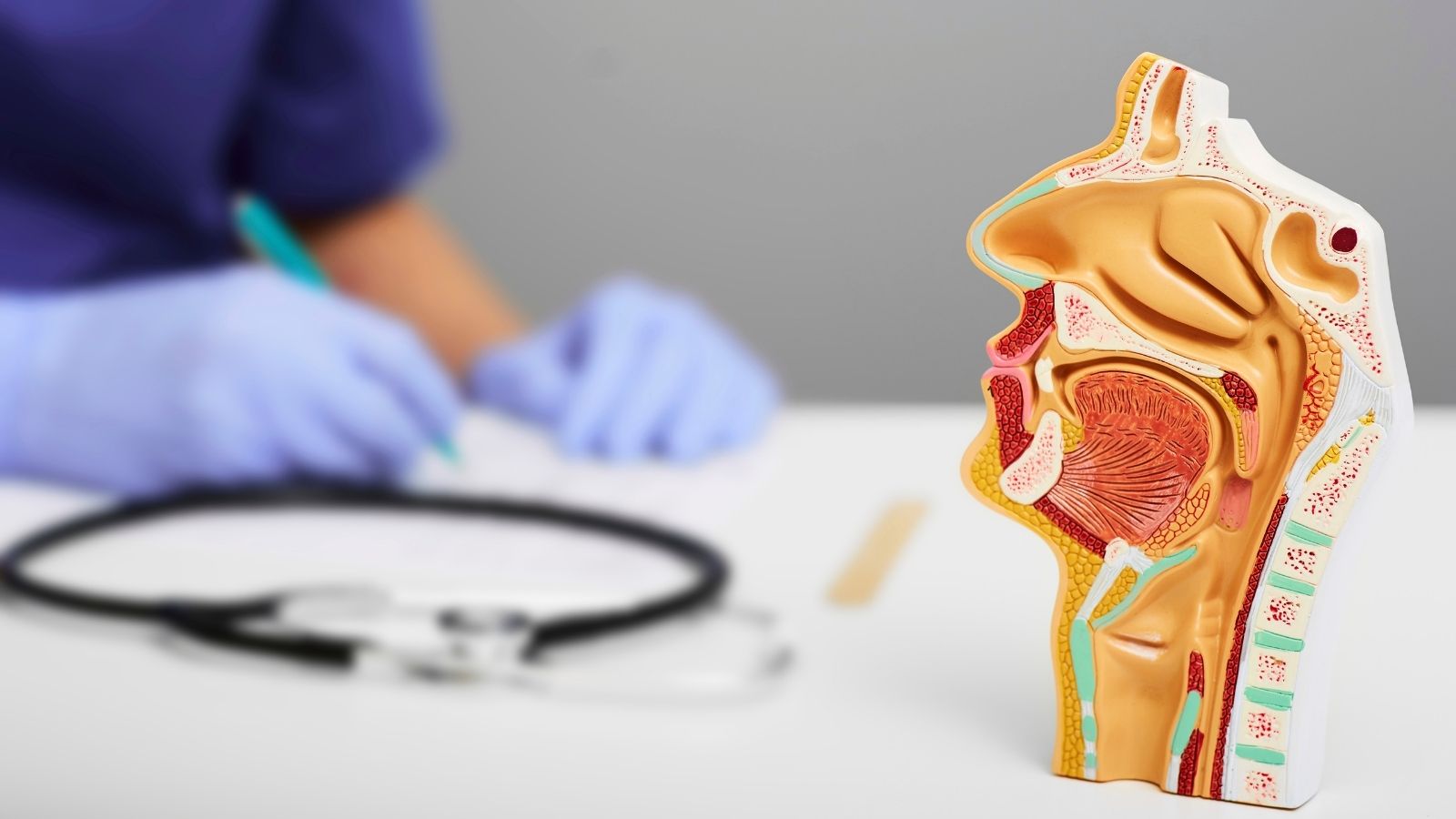 Kulak Burun Boğaz (KBB) Nedir? KBB Neye Bakar? Kulak Burun Boğaz (KBB) Nedir? KBB Neye Bakar?